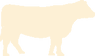 Kuh-Icon