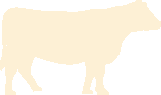 Kuh-Icon